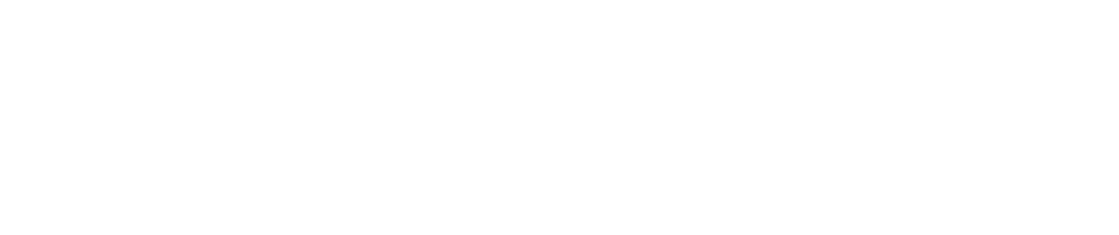 RM_LOGO_LANDSCAPE_WHITE